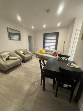 EEJs Modern London 3 bed flat near Crystal Palace Stadium - Great transport links
